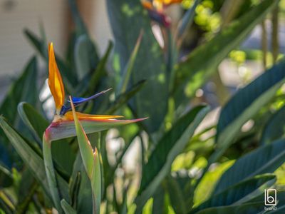 3 Renee Close, Lake Haven