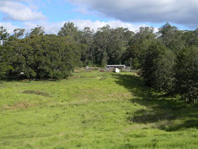 323 Coonoongibber Creek Road, Brooloo