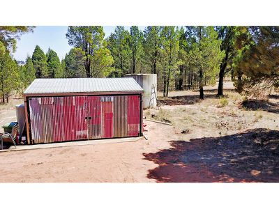 8L Bungoona Road, Dubbo