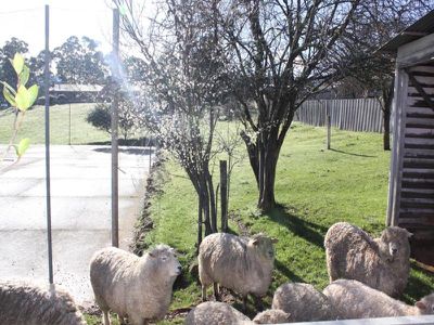 3 / 161 Main Street, Huonville