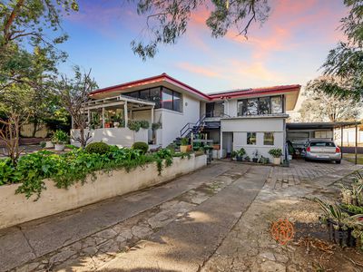 61 Starke Street, Higgins