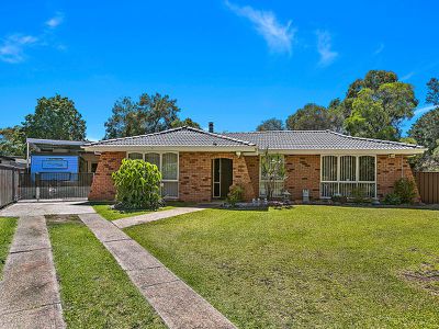 8 Reid Place, Avondale