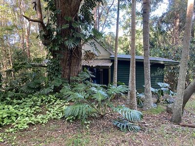 391 Stony Chute Road, Nimbin