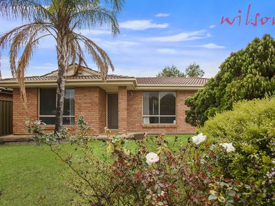 17 Pine View Drive, Paralowie