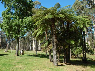 313 Back Creek Road, Nethercote