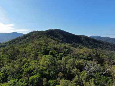 Lot 36, 435 Shiptons Flat Road, Rossville