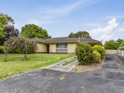 53 Williams Road, Millicent