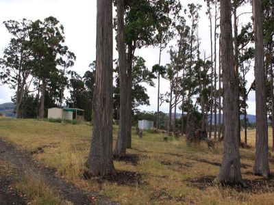 1907 Cygnet Coast Road, Cradoc