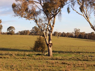 312 Bosworth Falls Road, O'connell
