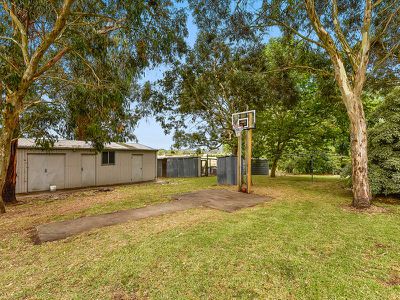 194 Hakea Drive , Millicent