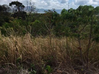 16 Rainforest Street, Cooktown