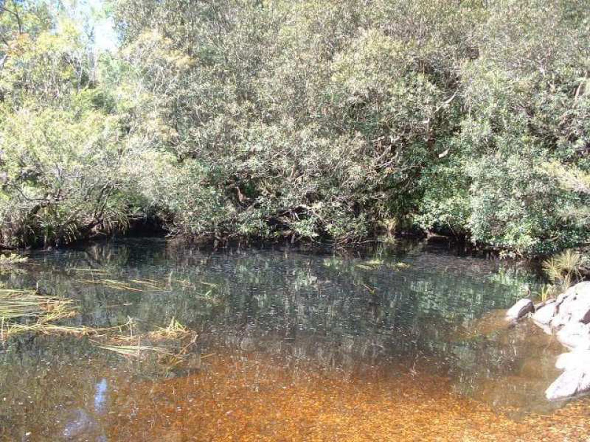 22 River Road, Brooman