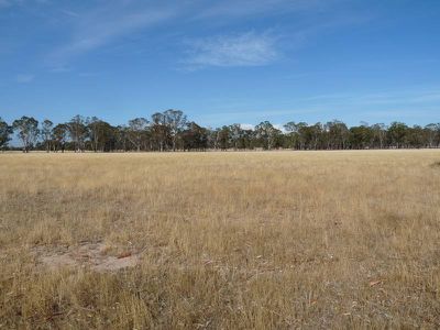 343 Dunns Road, Wonwondah East