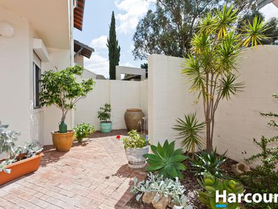 7 / 18 Fogerthorpe Crescent, Maylands