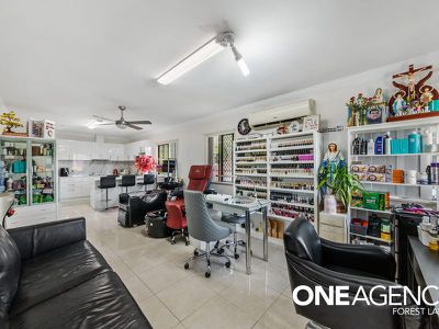 19 Japonica St, Inala