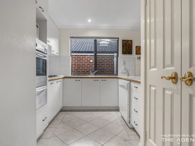 61 Sylvia Street, Nollamara