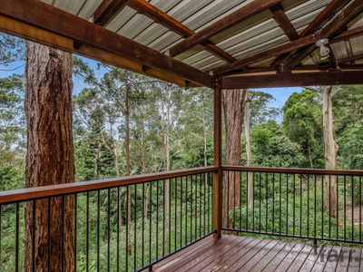 77 Contour Road, Tamborine Mountain