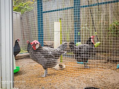 38 Garden Circle, Merimbula