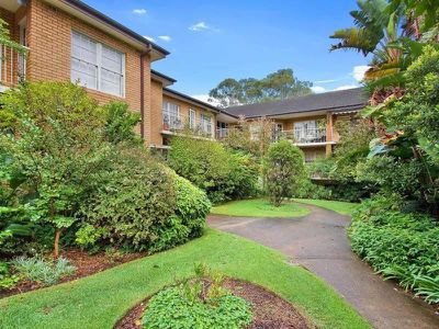 50B Ocean Street, Woollahra
