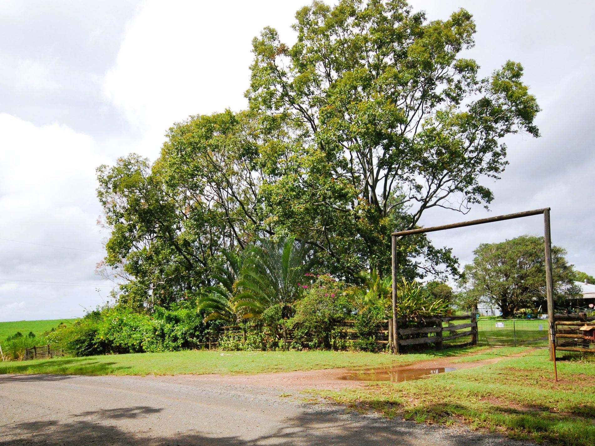 75 Jacobsens Road, Yerra