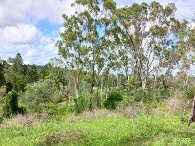 Lot 11 East River Pines Drive, Delan