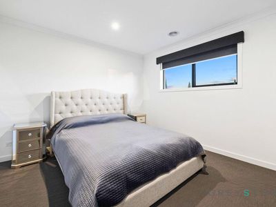 26 Belvedere Crescent, Burnside