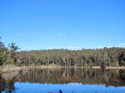 1183 Princes Highway, Kiah