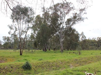 184 Koondrook Murrabit Road, Koondrook