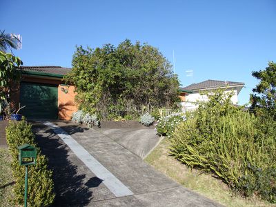 Forster