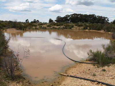 Lot 1  Tait Hamilton Road, Gobarup