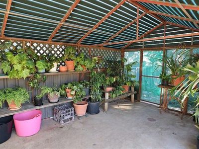 61 Clement Street, Forbes