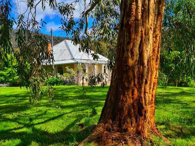 50 Cairns Road, Surges Bay