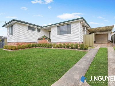 6 Wakelin Avenue, Mount Pritchard
