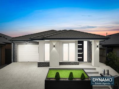 12 Bearing Street, Donnybrook