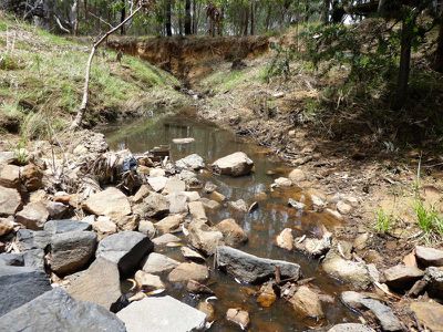 320 Tallarook-pyalong Rd, Tallarook