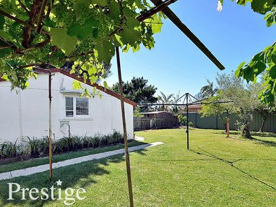 242 Wollongong Street, Arncliffe