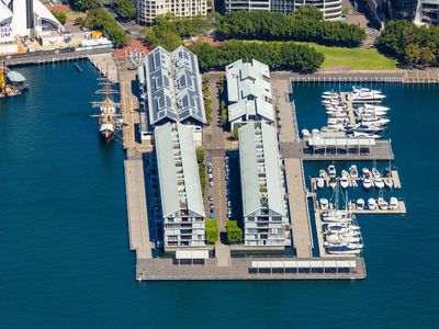 50 / 56A Pirrama Road, Pyrmont