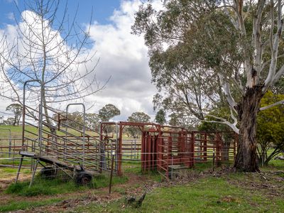 584 Huntley Road, Huntley