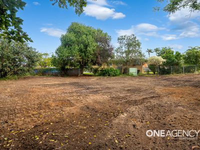 18 Delphinus Street, Inala