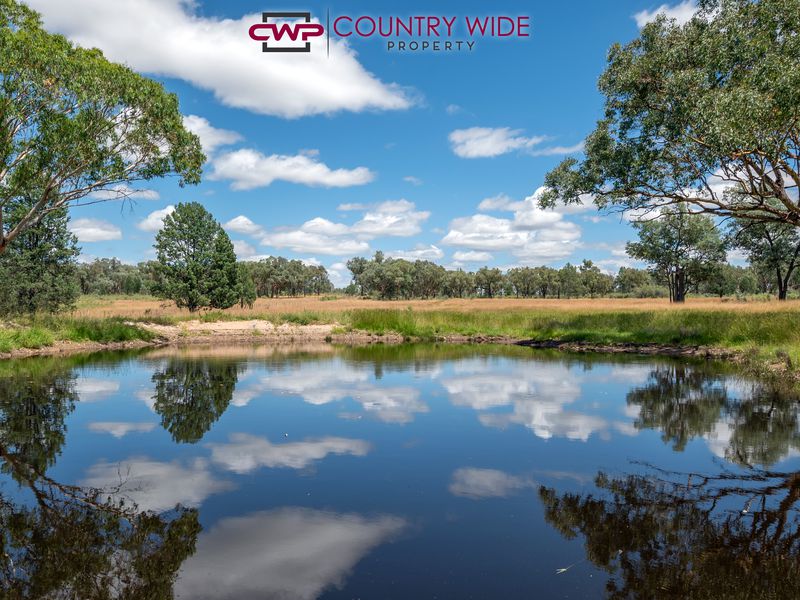 730 Wallangra Road, Ashford