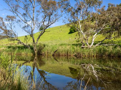 810 Broadford-Glenaroua Road, Glenaroua