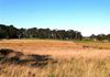Lot 42, 46 Forest Road, Orange