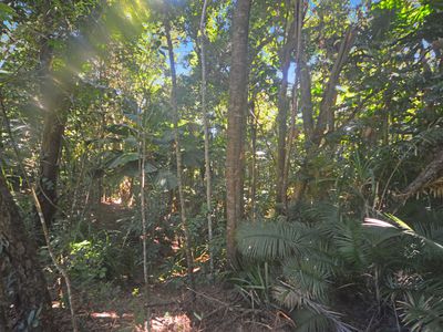 71 GREENDALE COURT, Jubilee Heights