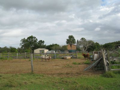 Moorland