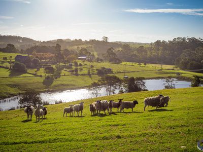 472 Old Highway, Narooma