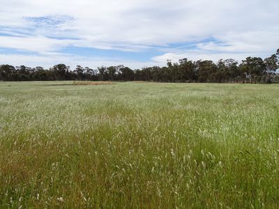 586 Delaney Road, Nagambie