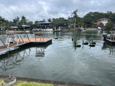 1 / 18 Jacaranda Avenue, Tweed Heads West