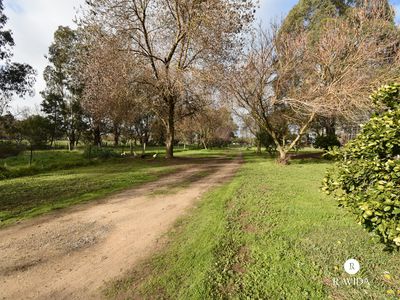 86 MARKWOOD-TARRAWINGEE ROAD, Markwood