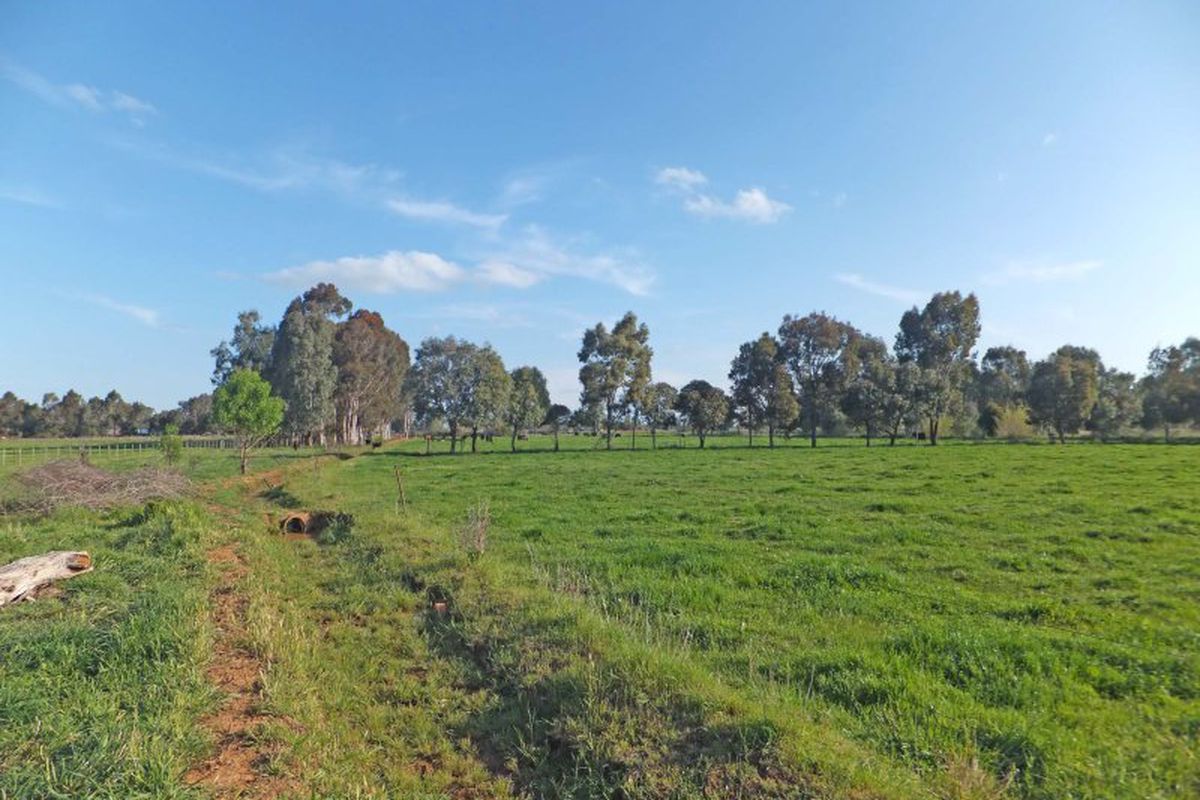 36 Thompsons Lane, Kyabram