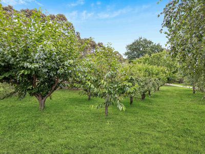 49 Kangaroo Reef Road, Mylor